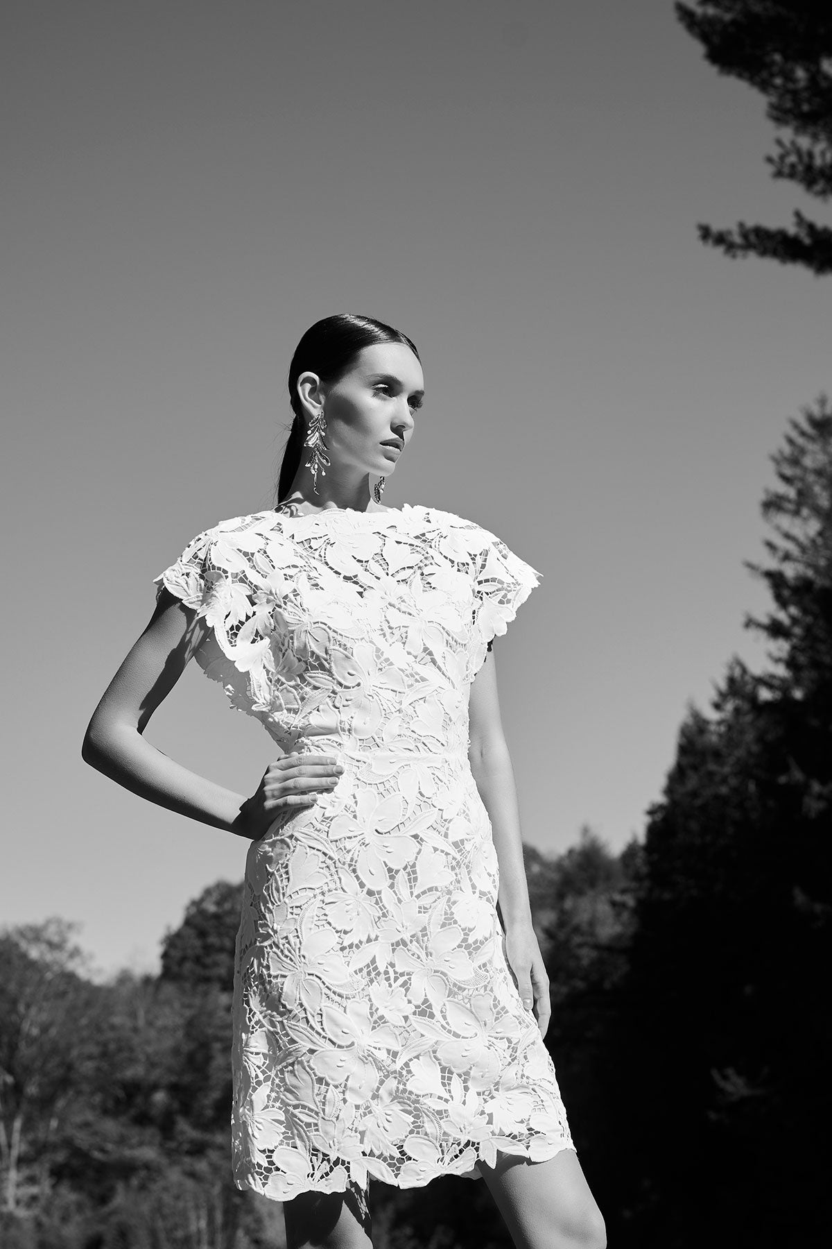 Natori Peony Floral Lace Mini Dress